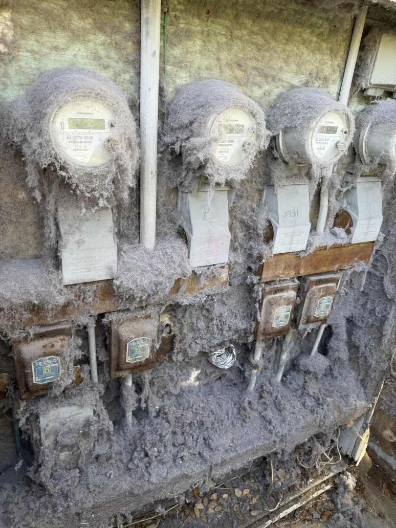Lint buildup on an electrical panel before cleaning