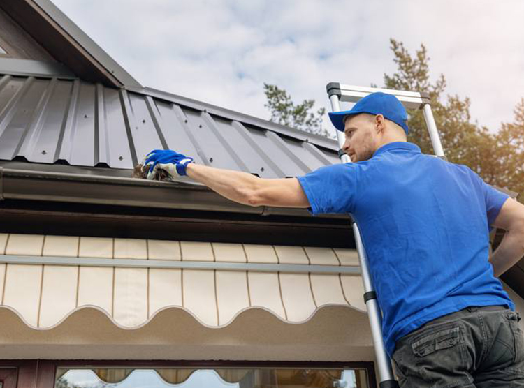 gutter cleaning LA
